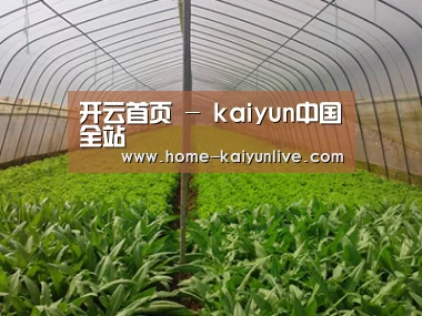 种植基地四