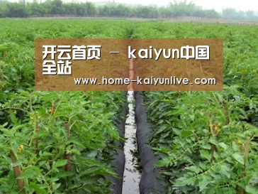种植基地三