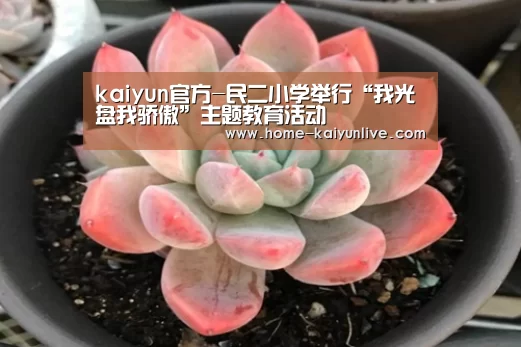 kaiyun官网